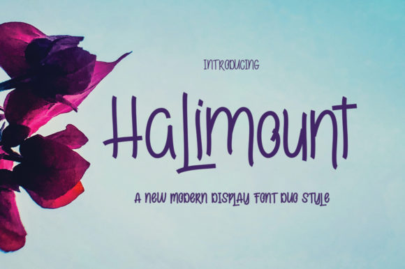 Halimount: The Friendly Display Font for Your Brand
