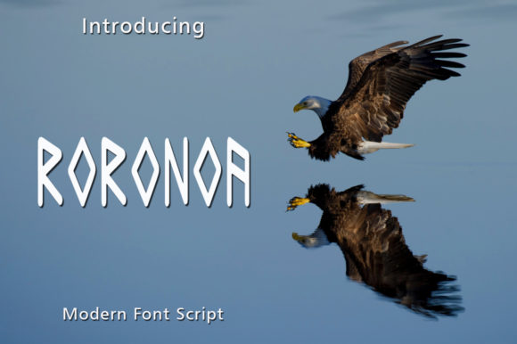 Roronoa: A Unique Display Font for Editorial Design